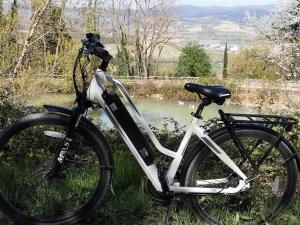 a bike parked in the grass next to a pond at Agriturismo Fattoria Poggio Boalaio in Orvieto