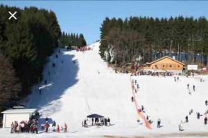 Langenbach bei KirburgにあるGemütliche Fewo Nähe Hachenburg, Bad Marienbergの雪山を登る人々