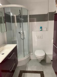 uma casa de banho com um chuveiro, um WC e um lavatório. em L'Imperial em Le Grau-du-Roi
