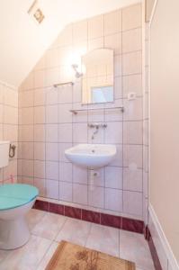 a bathroom with a sink and a toilet at Pokoje Olech in Wrzosowo +50 photos