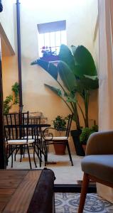 a room with two chairs and a table and a plant at Castillo 13 in Cáceres