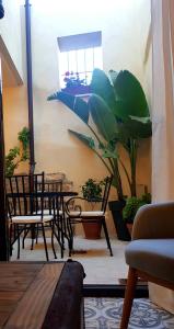 una stanza con due sedie e un tavolo e una pianta di Castillo 13 a Cáceres