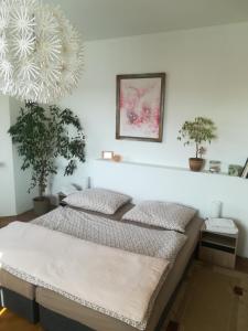 ジャテツにあるPenzion Flóraの鉢植えの植物2本が備わる客室内のベッド2台