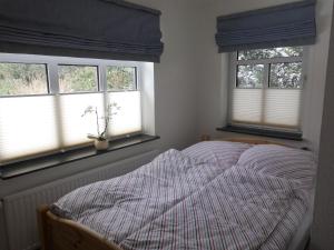 een slaapkamer met een bed en 2 ramen bij Hof Glücksburg in Dörpum