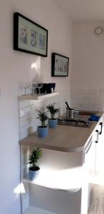 A kitchen or kitchenette at Zielone Zacisze