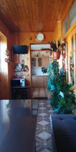 a living room with a table and plants in it at Elena Apartment in Pizunda