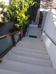 una escalera que conduce a una casa con plantas en Guesthouse Shtino, en Gjirokastra