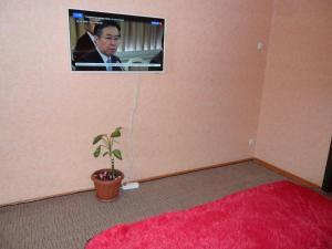 TV i/ili multimedijalni sistem u objektu Apartment Internatsional'naya 2/1