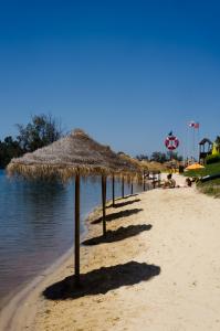un groupe de parasols en paille sur une plage dans l'établissement Casa da Torre, à Mine de São Domingos