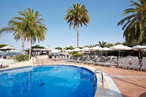 a swimming pool with chairs and umbrellas and palm trees at Son Matias Beach - Adults Only in Palmanova
