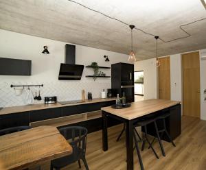 Kuchyň nebo kuchyňský kout v ubytování Villa Pietra