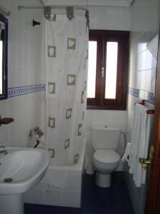a bathroom with a toilet and a sink and a shower curtain at Hosteria Peña Sagra in Ojedo