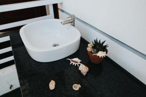 baño con lavabo y algunas conchas en una encimera en Nai's house - Homestay en Thanh Hải