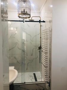 a bathroom with a shower and a toilet and a sink at VIP apartment history in Lviv +2 photos