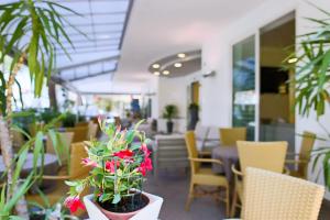 a room with chairs and plants in a building at Hotel Myosotis in Riccione