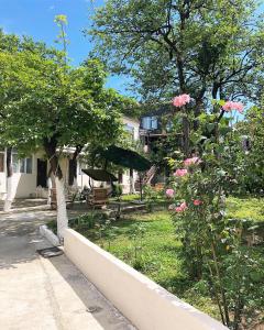 ogród z różowymi kwiatami i drzewami oraz ścianą w obiekcie Batumi Summer Hotel w mieście Batumi