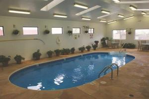 a large swimming pool in a room with potted plants at Wetherill Inn in Kayenta