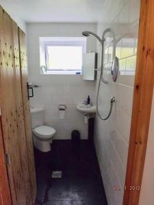 a small bathroom with a toilet and a sink at The Folly in Petersfield