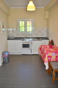 Η κουζίνα ή μικρή κουζίνα στο Holiday Apartments yannis on Agios Gordios beach in Corfu