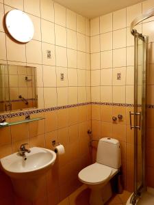 a bathroom with a toilet and a sink at Hotel Iskra in Rzeszów