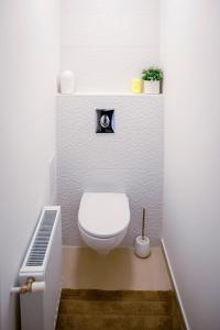 ein Bad mit einem weißen WC in einem Zimmer in der Unterkunft Cozy apartment in the downtown in Győr