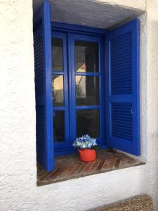 a blue window with a pot of flowers in front of it at Rhodes Summer House in Gennadi