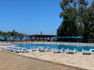 a row of chairs and umbrellas next to a swimming pool at 2 bedroom Apartment in Oasis in Chakvi