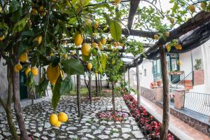 A garden outside Lo Smeraldo Private Pool Villa Ravello by ElodeaGroup