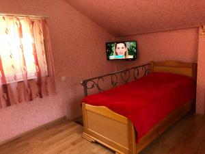 um quarto com uma cama e uma televisão na parede em Guest House Borjomi Star em Borjomi