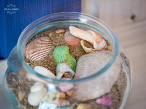 a glass jar filled with shells and rocks at The Old Border in Vama Veche