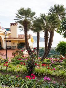 a garden with palm trees and flowers in front of a house at Hotel Sirius in Taormina