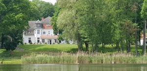 una gran casa blanca con un estanque frente a ella en Villa am Stechlin, en Neuglobsow