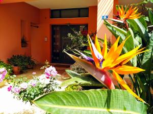 A garden outside Myrto2 apartment
