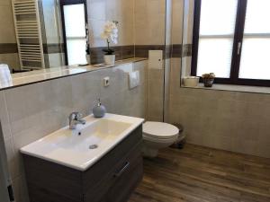a bathroom with a sink and a toilet and a mirror at Ferienwohnung Alt Görlitz II in Görlitz