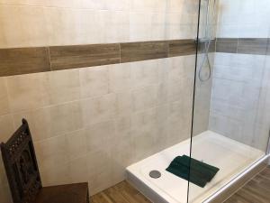 a shower with a glass door with a green towel at Ferienwohnung Alt Görlitz II in Görlitz