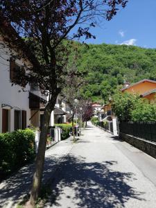 een boom in het midden van een straat met huizen bij PIANA112 apartment in Cannobio