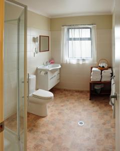 a bathroom with a toilet and a sink and a shower at Essex Arms in Huntly