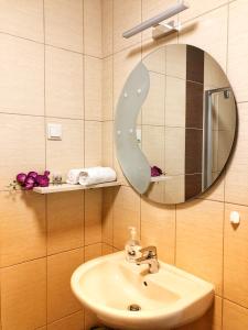 a bathroom with a sink and a mirror at Boró Apartman in Tiszafüred