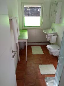 baño con aseo y lavabo y ventana en Hvar Apartment, en Zavala
