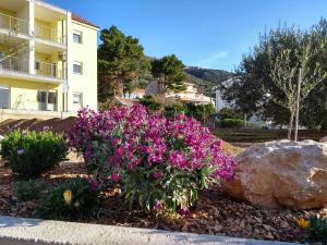 Fotografia z galérie ubytovania Hvar Apartment v destinácii Zavala