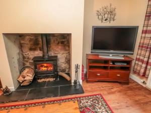 a living room with a fireplace and a tv at Magpie Cottage in Wooler
