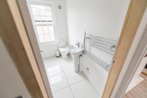 ノリッジにあるSt Stephens Road Apartmentの洗面台とトイレを備えた白いバスルーム