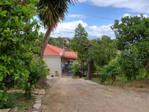 科罗尼Guesthouse Agia Triada的相册照片