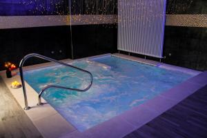 a jacuzzi tub with a hand rail in a room at Hotel Lungomare in Marina di Andora