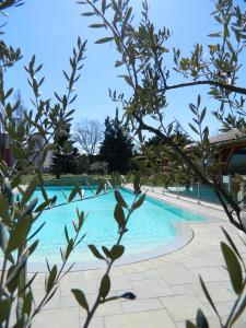 a swimming pool with blue water and trees at Hotel Restaurant La Martiniere in Montélier