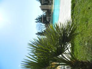 a palm tree in front of a building at Hotel Restaurant La Martiniere in Montélier