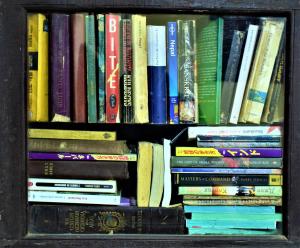 Perpustakaan di guest house
