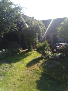 a backyard with a hose in the grass at Tinyhouse op Terschelling in Hoorn