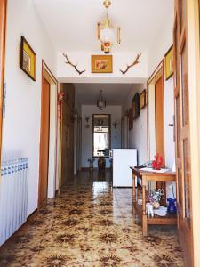 Fotografie z fotogalerie ubytování Naomi's Sunshine v destinaci Cres