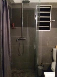 bagno con doccia e porta in vetro di Studio belle vue mer "eco responsable" a Saint-Gilles-les Bains